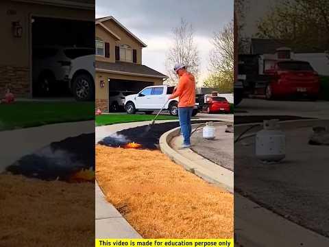 Some year's town to home 😍❔#shorts