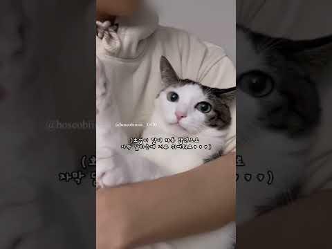 마 뽀뽀는 하지 마