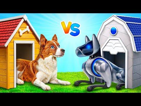We Built a House For Pets | Funny Pet Pranks by Multi DO Smile