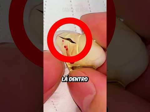 OVO Estoura NA MÃO De INFLUENCER (créditos: 大兵爬宠/dabing871898 no Douyin)