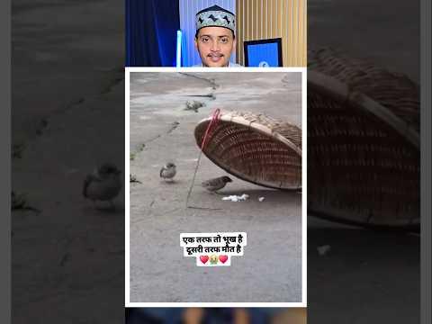 Shikari bhi raham dil tha 😍