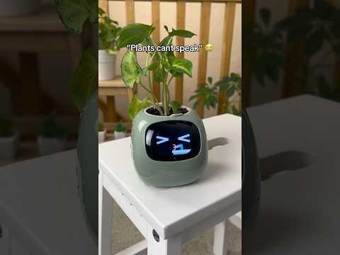 Black Friday Sale is here! 🖤  Get yours from the link in our profile! 🌿🪴