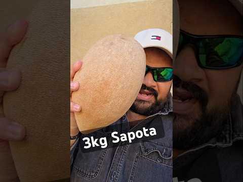 3 కేజీల sapota fruit, Mamey sapote, tropical strange fruit, food shorts