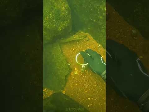 Best Underwater Find 💀🌊