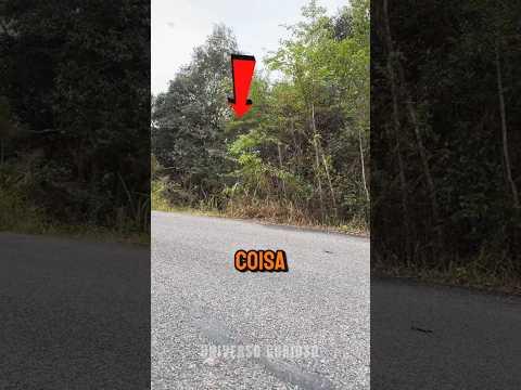 Esse HOMEM filmou ALGO se MOVENDO na FLORESTA (créditos:普洱国家公园-长臂猿锅锅 no Douyin)