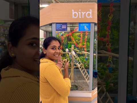 💥America pet 🐶shopல என்ன வாங்குனோம்⁉️#shorts #tamilvlog #shortsfeed #youtubeshorts #ytshorts #pets