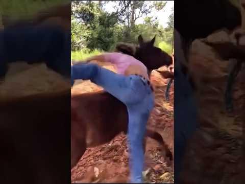 Essa foi valente 🤠 mulher monta em animal xucro e dá show #bruta #cowgirl #vaqueira #rodeio