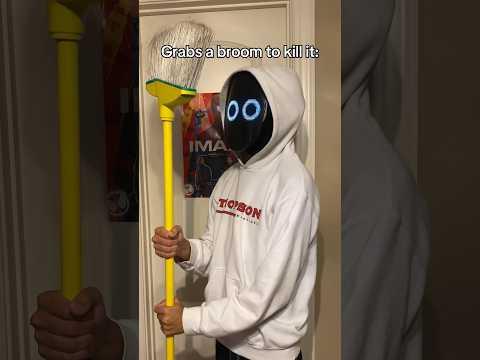 When you kill a spider… 😂 #comedy #funny #viral