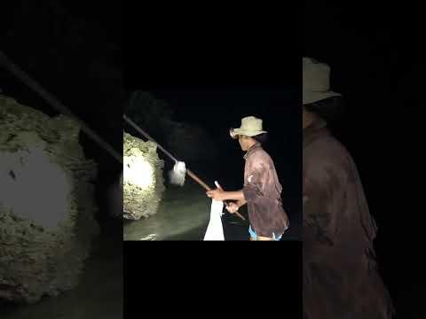 Panen di malam hari #shorts #fishing #funny