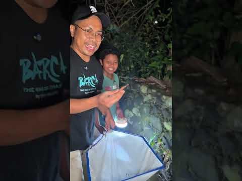 Lucu!! Bocil cari ikan dapat kopi ABC #bosbosqu