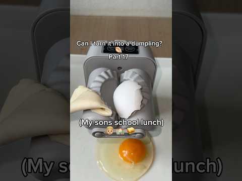 Can i turn it into a dumpling? Part 17 👦🏼🏫🥪 #dumplings #cooking #food