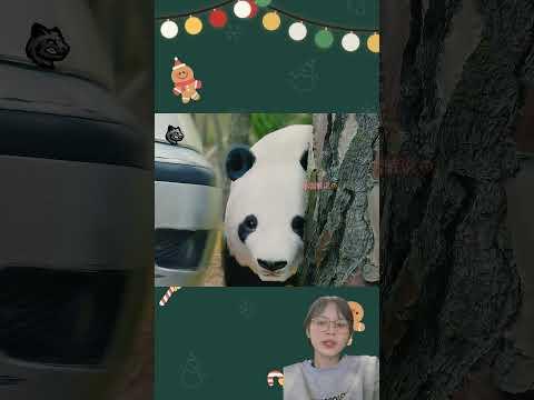 Vị thần áo trắng trừng phạt gia đình nguy hiểm nhất vũ trụ !! #shorts