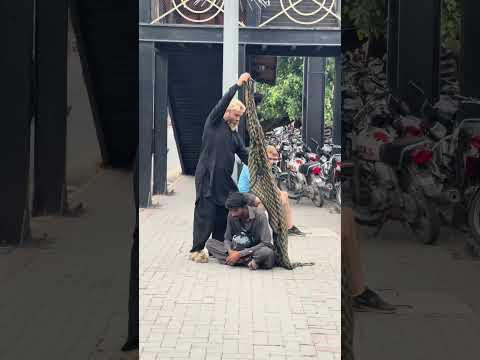 Funny video #gulfamgolden