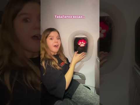 21 декабря 2024 г.