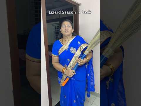 Lizard Season is Back 🦎🤪😱🤣 #mrteju #shorts #comedy #entertainment