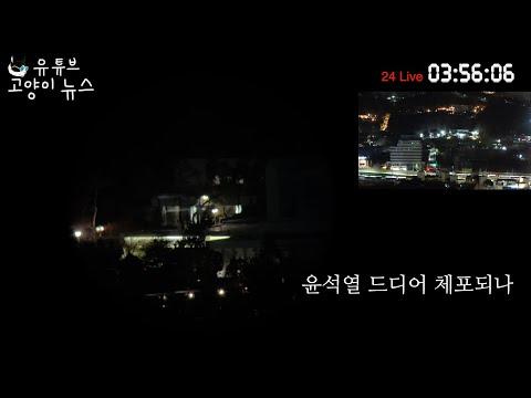 고양이뉴스 생방송 한남동 내란수괴 24시 체포