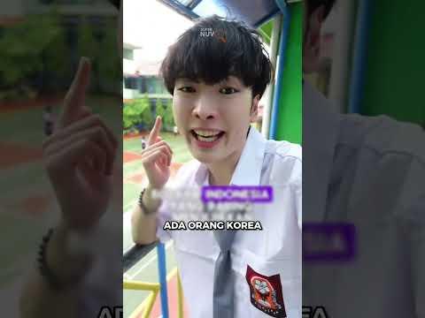 Pandangan Orang Korea Terhadap Budaya Orang Indonesia ini #Shorts