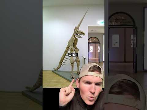 Worst fossil reconstruction ever?🥴