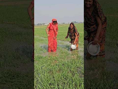 प्रिया और मम्मी पानी चला रही हैं खेत में #shortvideo #shorts #reels