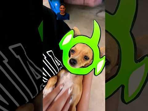 A QUIEN SE PARECE EL NIÑO 😇👀😂 #comedia #humor #memes creditos @alfredolarin