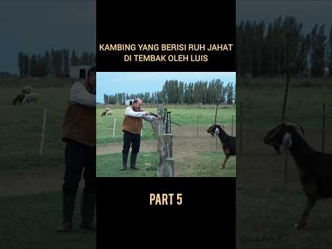 kambing berisi ruh jahat #kambing #kerasukan