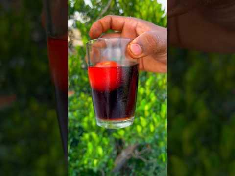 💢Tomato 🍅 Life Experiment 😂💥 #shorts #experiment