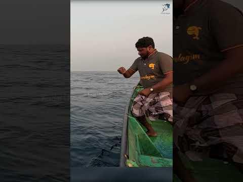 Catching 15 Kg Tuna Fish in the Deep Sea #fish #fishing #fishingvideo