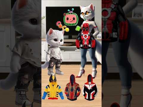 the kitten prefers is favorite deadpool costume #catlover #catvideos #cutecat #shortsfeed #marvel