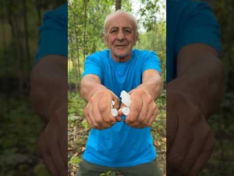 Survival skills: Fire lifehack #survival #bushcraft #camping