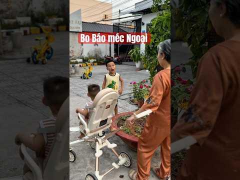 Bo Báo méc Ngoại #shorts