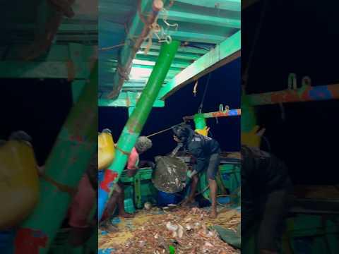 వలలో తాబేలు పడింది🐢 | Local Boi Nani | #vizagnani #fishing #vizagfishingharbour #localboynani