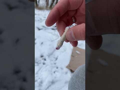 Did something that is impossible to put out🔥 #forest #lifehacks #skills #camping #nature #outdoors