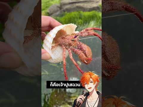 หนุ่มจีนสายลุย! จับตัวอะไรได้ ใส่มาม่าหมด! 🍜