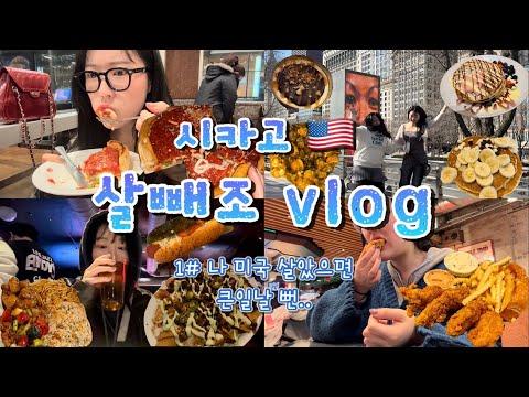 [🇺🇸미국 브이로그#시카고] 내가 살다살다 유튜버 친구랑 여행가는 날이 올 줄이야..🫢 성향 정반대인 ISFP와 ENTJ의 첫 미국여행 (with 미소)