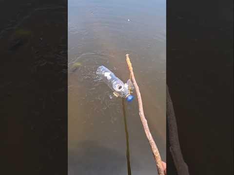 Mancing dengan botol#fish