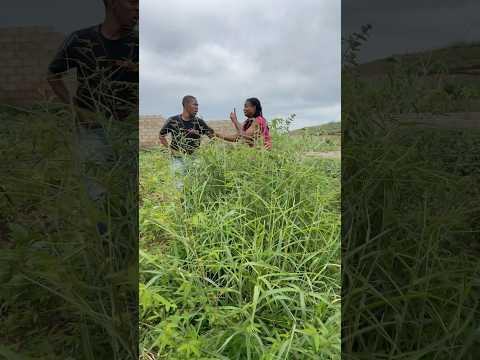 One more 😂🤣🤣