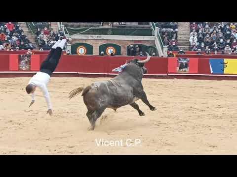 Concurso de Recortes Campeon de Europa Valencia 2021