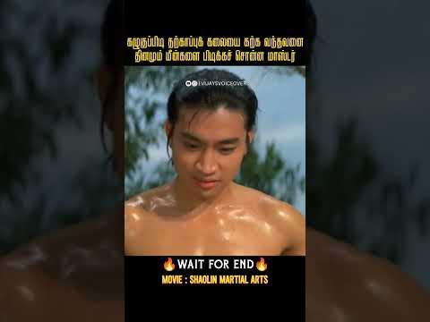 கடினமான கழுகுப்பிடி தற்காப்புக்கலை |Shaolin martial arts|Movies explained in tamil