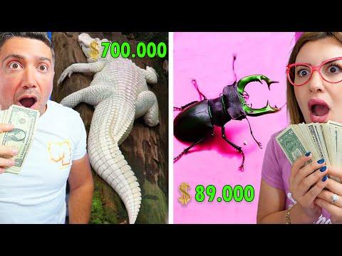 اغلى الحيوانات  في العالم