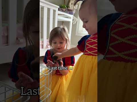 Poor Violet… a whole year older and still can’t hold the chicks! 😂 Maybe next year, Violet! 🐥🐣