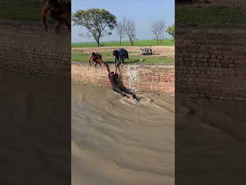 Yaar Tera Pyar Hai Meri Zindagi 😘👍 #short #viral #shortvideos #trending #shorts