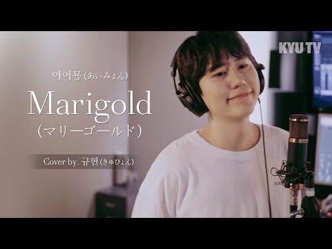 아이묭 (あいみょん) - Marigold (マリーゴールド) Cover by 규현 (きゅひょん)