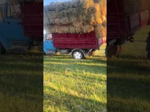 ОПАСНЫЙ МОМЕНТ 🤯