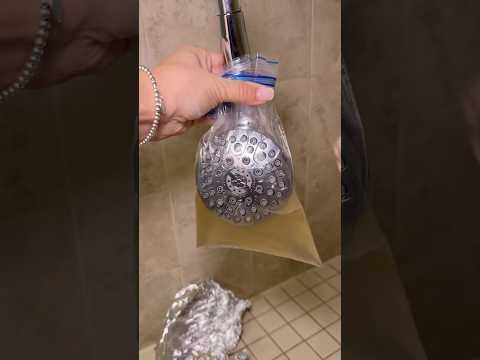 This lifehack will help you quickly clean your shower head #bathroom #cleaning #usefuf #shortsvideo