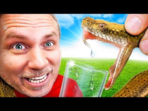 ¡Veneno de serpiente vs Sangre humana!