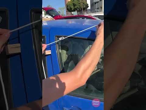 SAVE THE DOGGY! 😭 It's Too Hot In The Car! ☀️ What Will They Do?