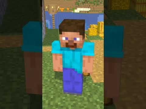 スティーブはスティーブと出会った #minecraft #animation