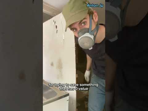 ( 2023 ) Japan has a huge problem.. #akiya #shorts #tokyo