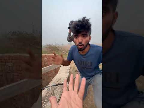 Shark ko rescue kr lia #minivlogs #minizoo #petlizard #shark
