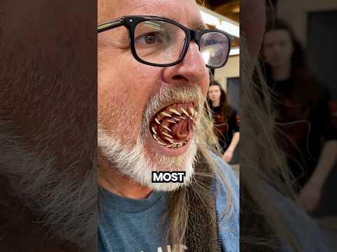 These Teeth Will Haunt Your Dreams!